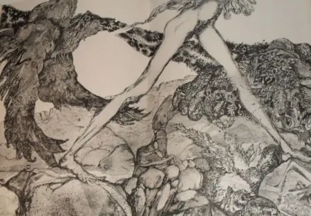 Libro Illustrato Simon - Die Suchende / Celle qui cherche