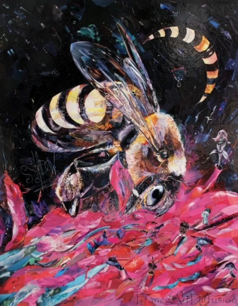 Non Tecnico Sladow - 