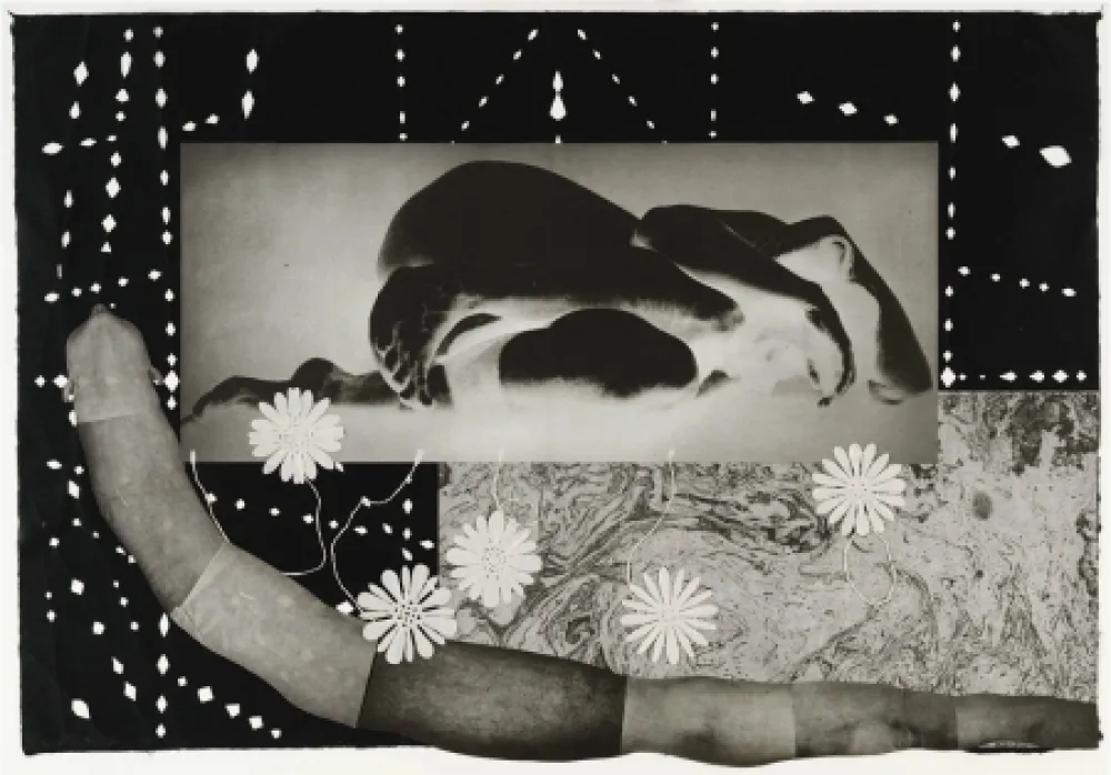 Incisione Smith - Worm