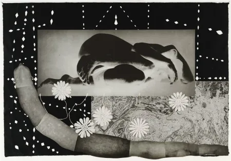 Incisione Smith - Worm