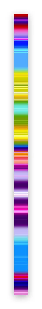 Fotografie Snell - Lumina # 202103