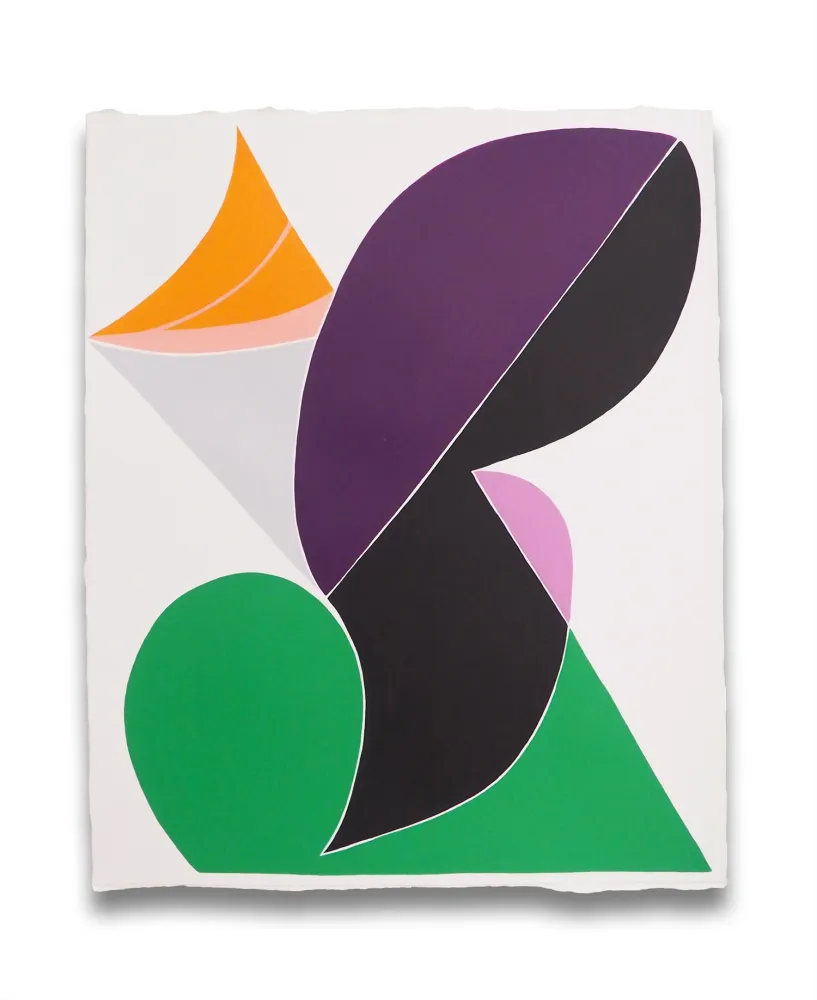 Non Tecnico Snow - Finite Field