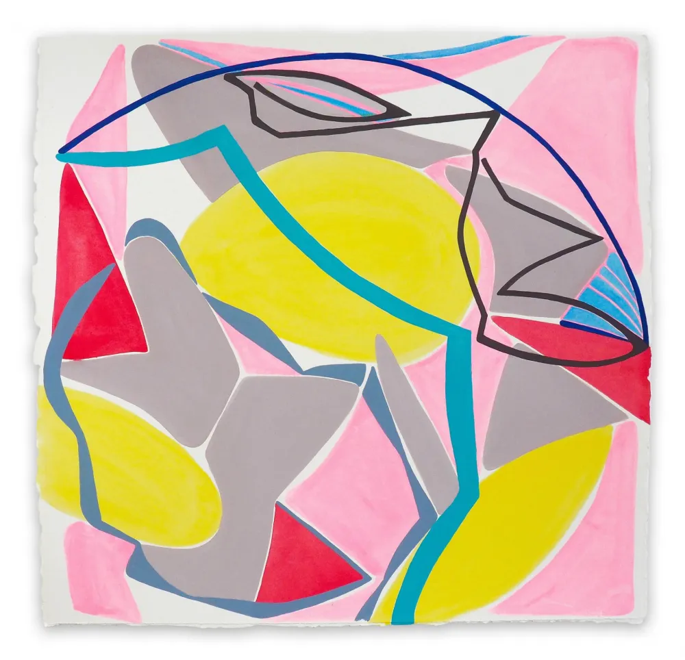 Non Tecnico Snow - Terra Incognita 2