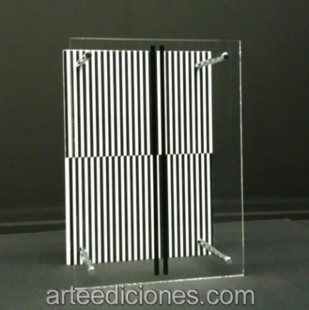 Non Tecnico Soto - Museo Moltiplicato / Permutation