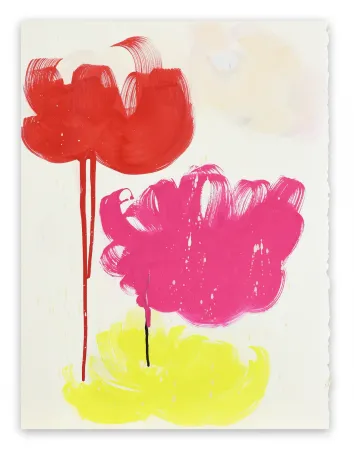 Non Tecnico Spielman - Quiver