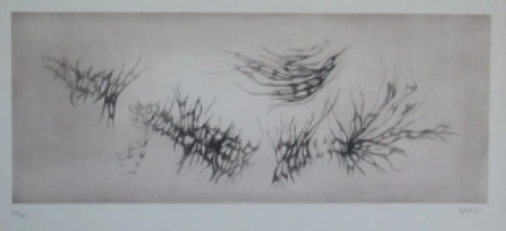 Acquaforte E Acquatinta Springer - Racines