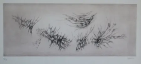 Acquaforte E Acquatinta Springer - Racines