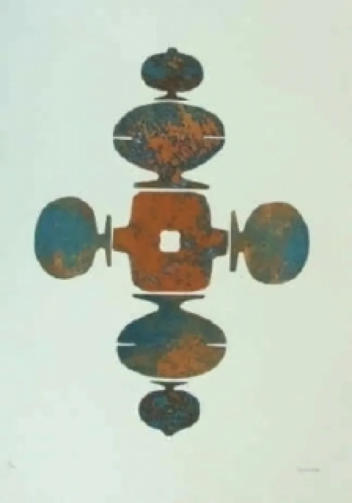 Acquaforte E Acquatinta Springer - Shrinagar