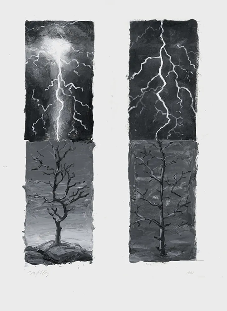 Non Tecnico Stanford - Heaven and Earth