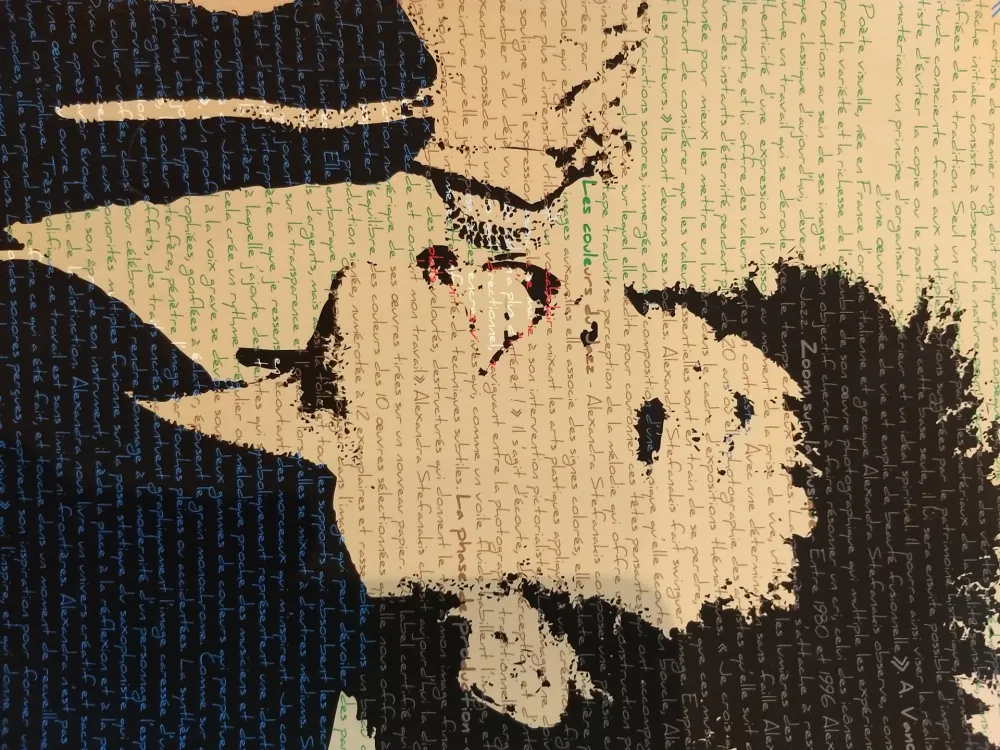 Fotografie Stefanakis - Dee Dee Bridgewater2