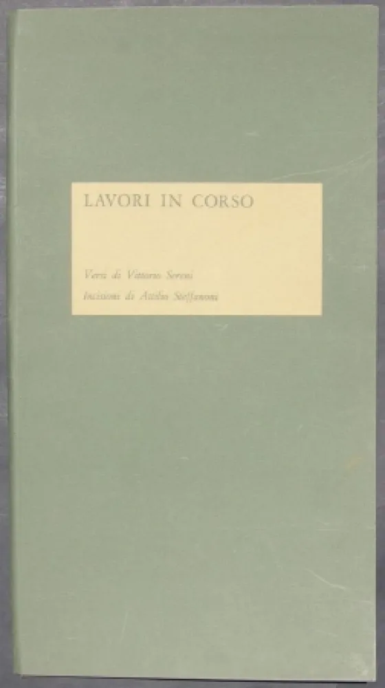 Libro Illustrato Steffanoni - Lavori in corso