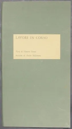 Libro Illustrato Steffanoni - Lavori in corso