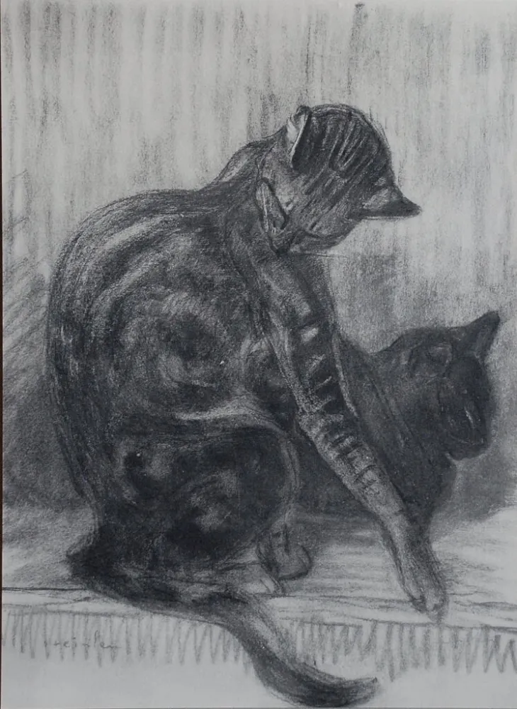 Litografia Steinlen - Chats et Autres Bêtes