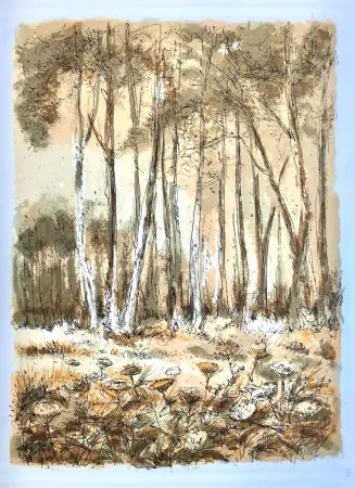 Litografia Steinlen - Forêt voisine