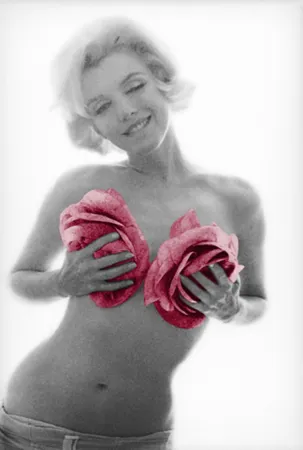 Fotografie Stern - Marilyn Pink Roses Large
