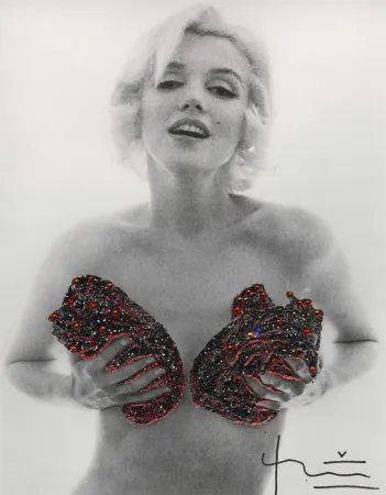 Fotografie Stern - Marilyn Red Classic Charcoal Roses