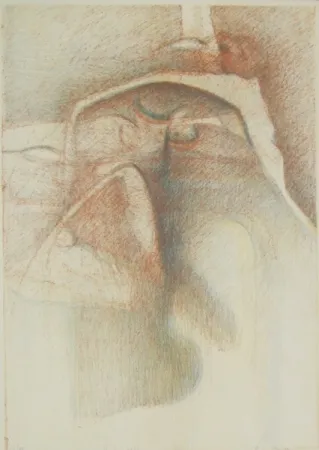 Libro Illustrato Stradella  - Vedo coi loro occhi ciechi