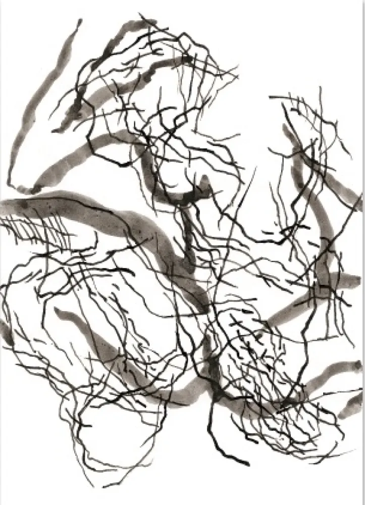 Grafica Numerica Strugalla - Nu (Collection Naked)