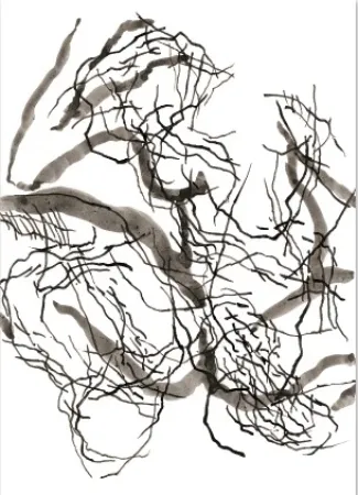 Grafica Numerica Strugalla - Nu (Collection Naked)