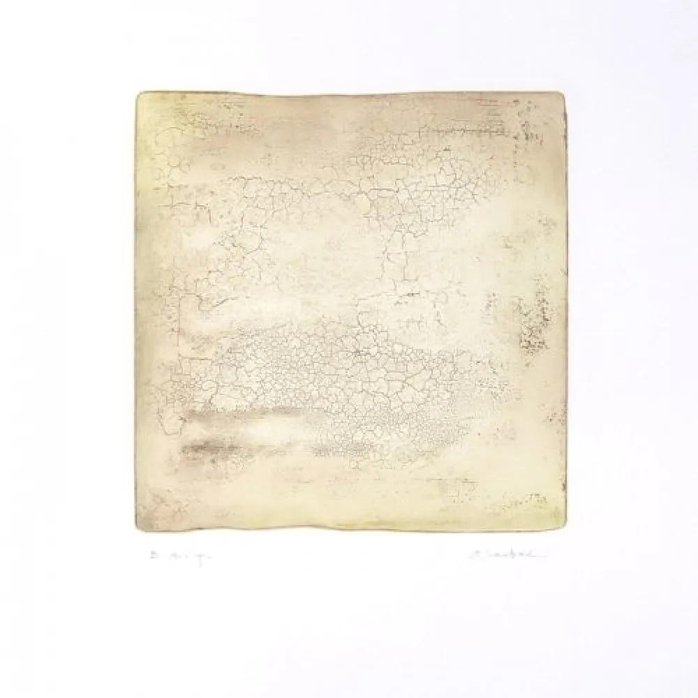 Incisione Su - Inactness B