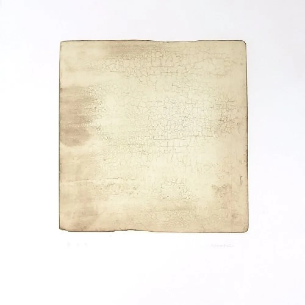 Incisione Su - Intactness D