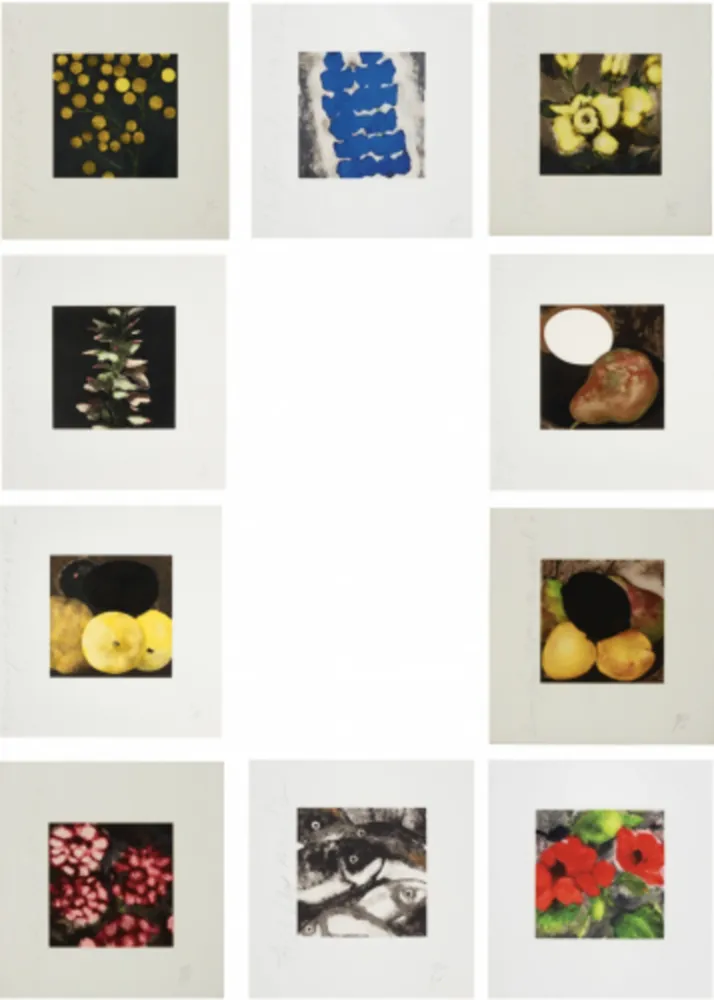 Serigrafia Sultan - Fruit & Flowers