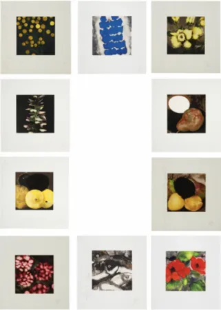 Serigrafia Sultan - Fruit & Flowers