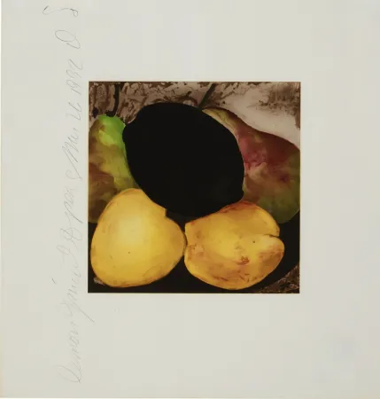 Serigrafia Sultan - Lemon Juice and Pears from Fruits and Flowers
