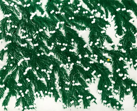 Multiplo Sultan - Mimosa, April 12, 2023