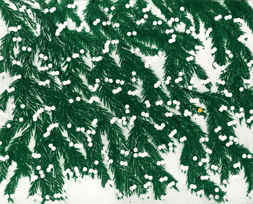 Non Tecnico Sultan - Mimosa (Green)