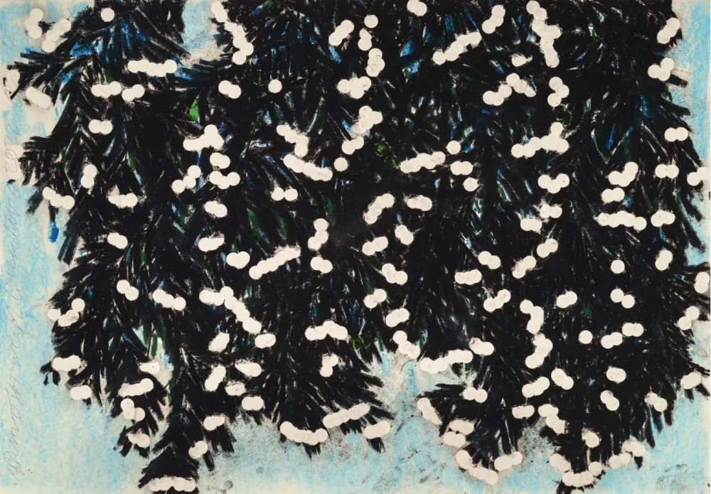 Non Tecnico Sultan - Mimosa with Green