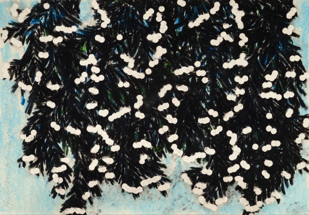 Multiplo Sultan - Mimosa with Green, Jan 25, 2023