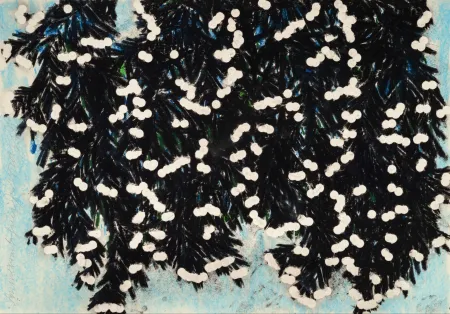 Multiplo Sultan - Mimosa with Green, Jan 25, 2023