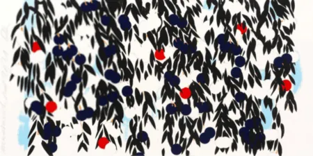 Multiplo Sultan - Mimosa with Red