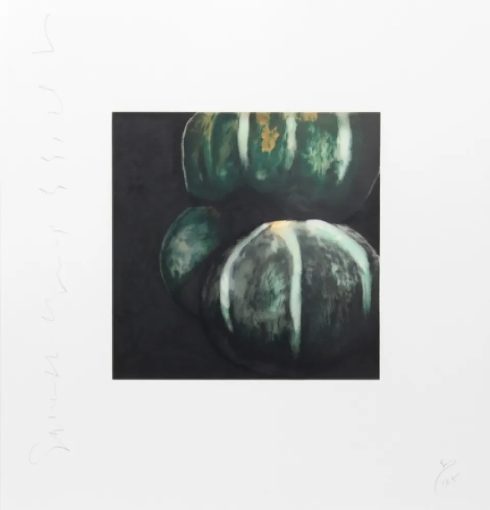 Serigrafia Sultan - Squash