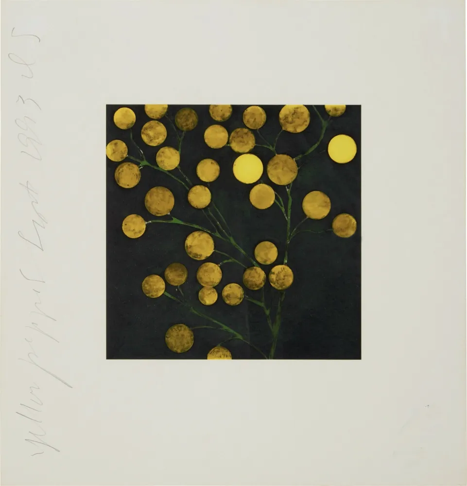 Serigrafia Sultan - Yellow Peppers from Fruits and Flowers
