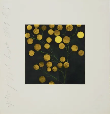 Serigrafia Sultan - Yellow Peppers from Fruits and Flowers