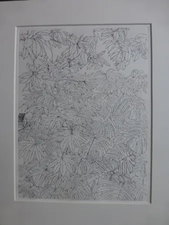 Acquaforte Szafran - Feuillages ,1977