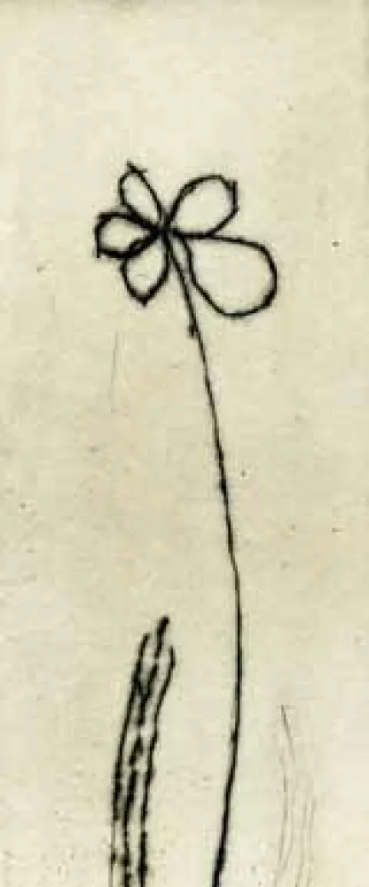 Acquaforte Tachibana  - TOT 48