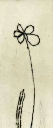 Acquaforte Tachibana  - TOT 48