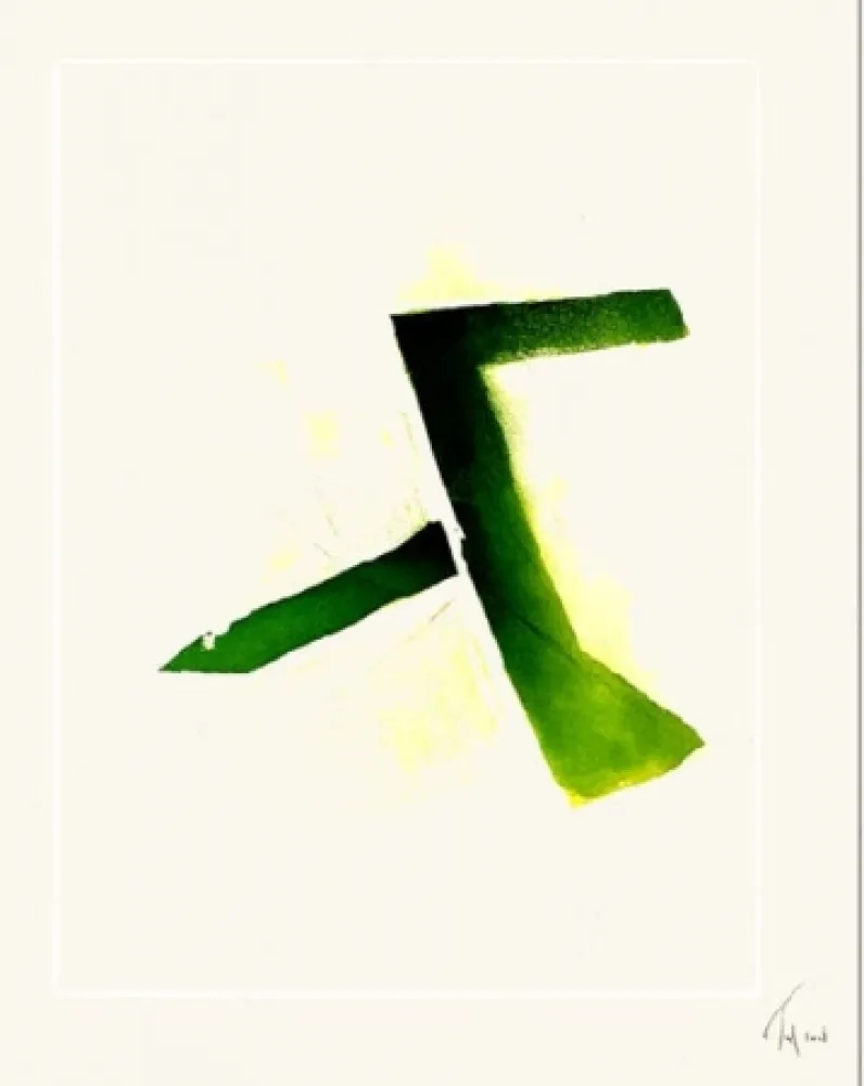 Acquaforte E Acquatinta Tal Coat - Acide