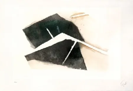 Acquaforte E Acquatinta Tal Coat - Terres abreuvées