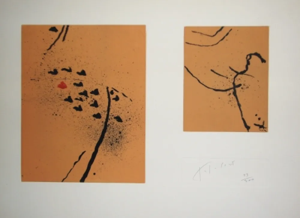 Acquaforte E Acquatinta Tal Coat - Traces