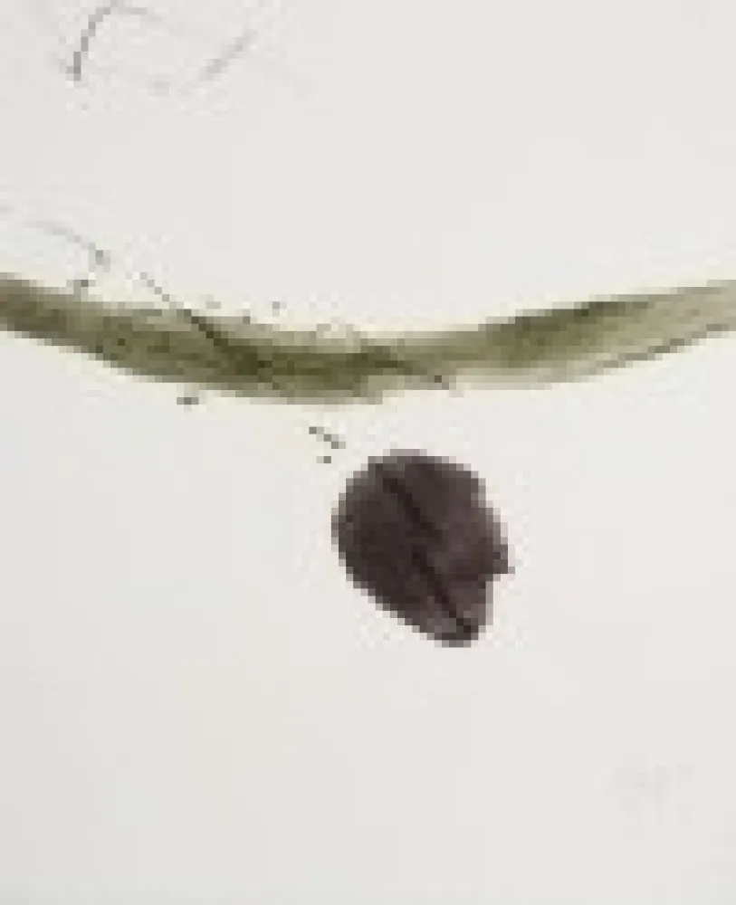 Acquaforte E Acquatinta Tal Coat - Xème anniversaire de la fondation Maeght 