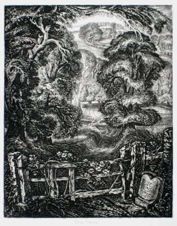 Incisione Tanner - The Old Road:  Elegy for the English Elm I