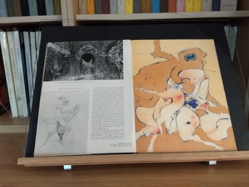 Libro Illustrato Tanning - No 24