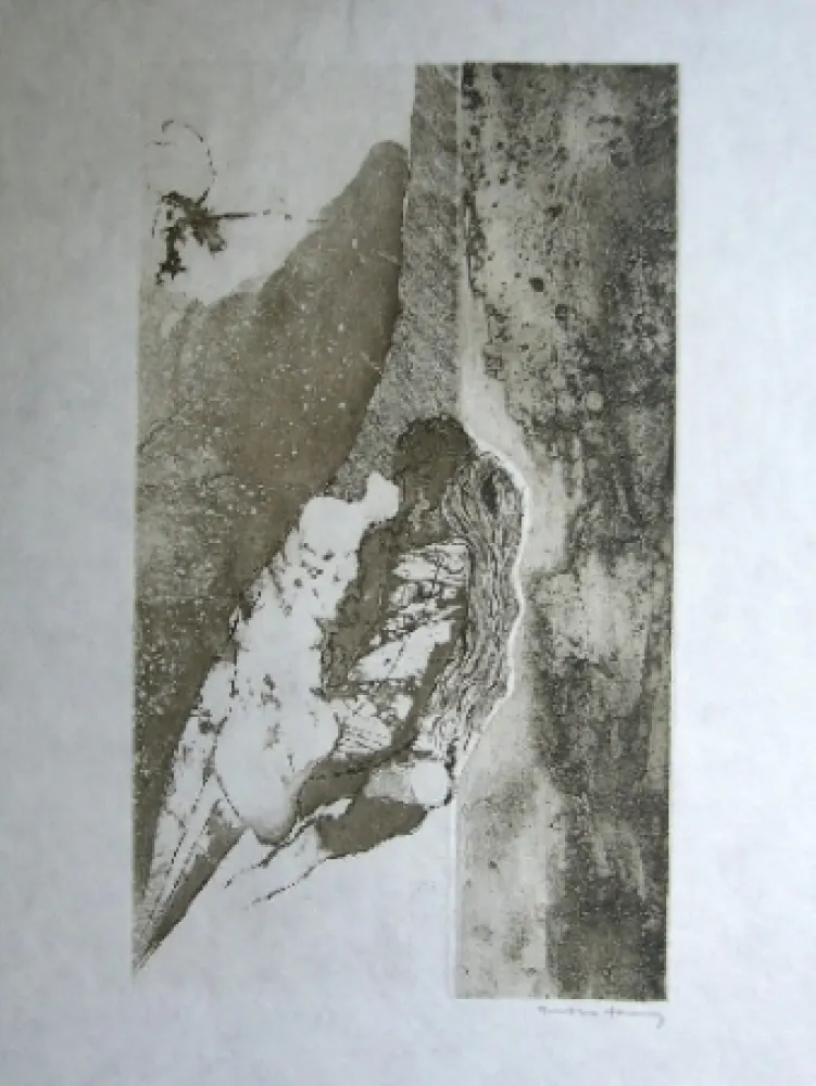 Acquatinta Tanning - Sans titre