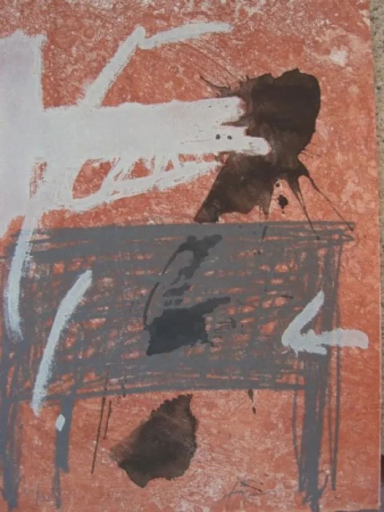 Acquaforte Tàpies - BOIS DES CERFS (Libro)