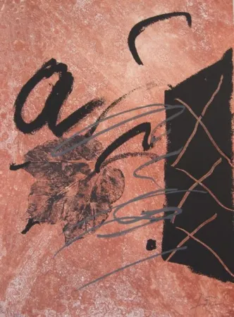 Acquaforte Tàpies - BOIS DES CERFS (Libro)