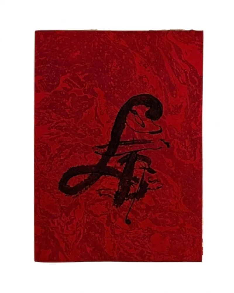 Libro Illustrato Tàpies - Carrer de Wagner